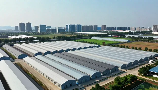 运维支持中常见的设计问题与应对策略
